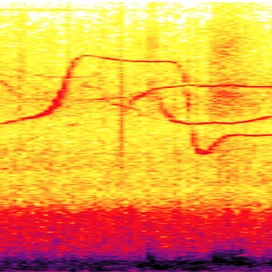 spectrogram